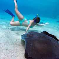 Cozumel Snorkeling Tours